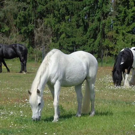 公寓 Mit Hundebetreuung Garstedt