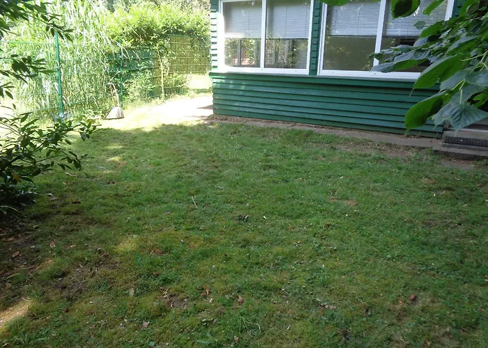Daire Mit Hundebetreuung *